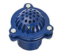 Foot Valve