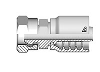 NPSM Female NPSM Female