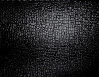 Matting-crocodile